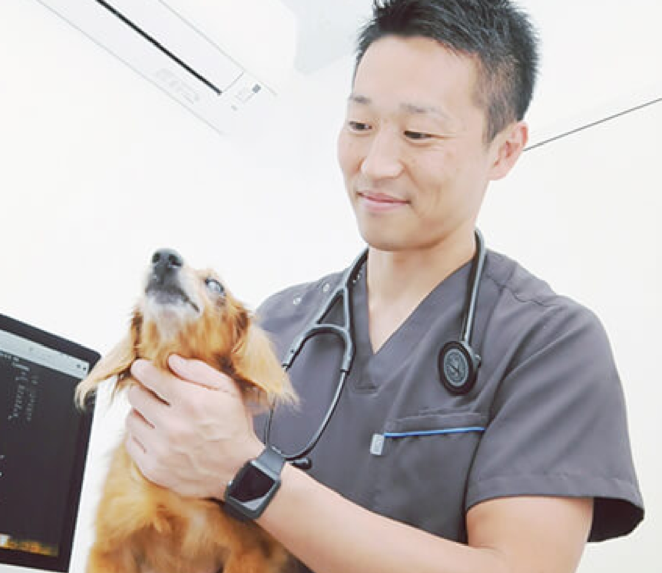 診察の様子