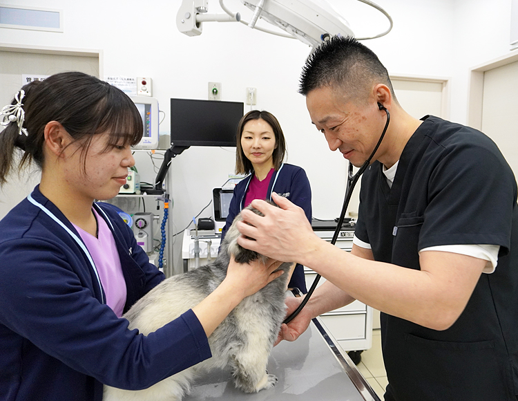 たかはし犬猫病院の獣医師